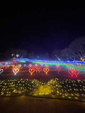 みろくの里に投稿された画像（2024/12/23）