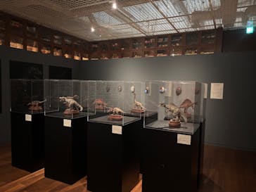 felissimo chocolate museum（フェリシモチョコレートミュージアム）に投稿された画像（2024/12/23）