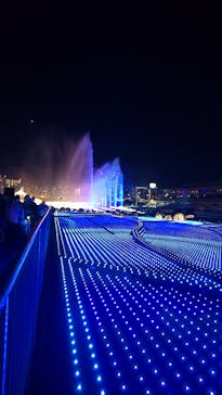 東京メガイルミに投稿された画像（2024/12/23）