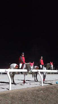 東京メガイルミに投稿された画像（2024/12/23）