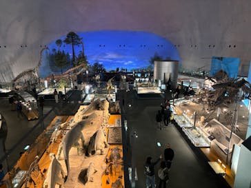福井県立恐竜博物館に投稿された画像（2024/12/23）