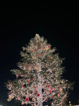 Christmas Market in 横浜赤レンガ倉庫 2025に投稿された画像（2024/12/23）