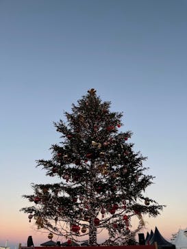 Christmas Market in 横浜赤レンガ倉庫 2025に投稿された画像（2024/12/23）