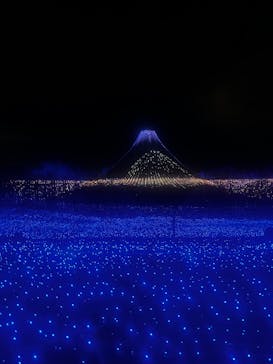 なばなの里に投稿された画像（2024/12/23）