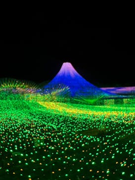 なばなの里に投稿された画像（2024/12/23）