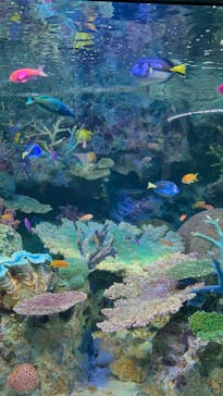 サンシャイン水族館に投稿された画像（2024/12/23）