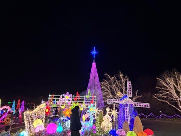 とっとり花回廊に投稿された画像（2024/12/23）