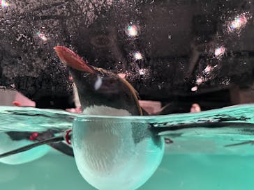 AOAO SAPPOROに投稿された画像（2024/12/23）