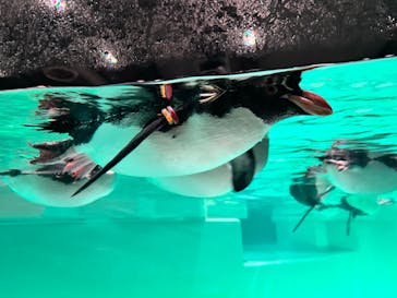 AOAO SAPPOROに投稿された画像（2024/12/23）