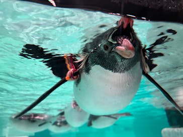 AOAO SAPPOROに投稿された画像（2024/12/23）