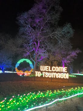 つま恋イルミネーションに投稿された画像（2024/12/23）