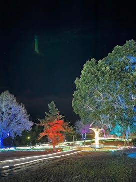 つま恋イルミネーションに投稿された画像（2024/12/23）