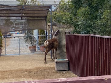 神戸どうぶつ王国に投稿された画像（2024/12/24）