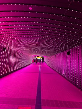 東京メガイルミに投稿された画像（2024/12/24）