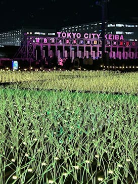 東京メガイルミに投稿された画像（2024/12/24）
