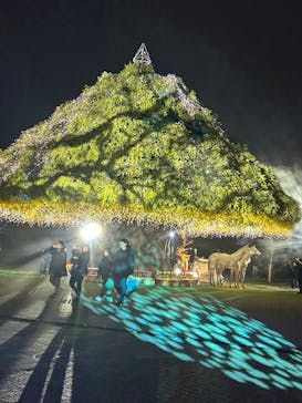 東京メガイルミに投稿された画像（2024/12/24）