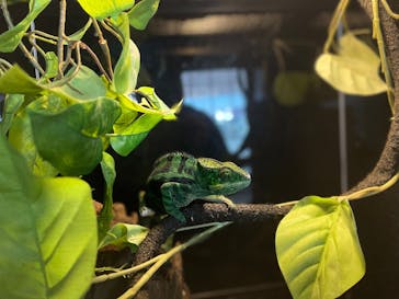 仙台うみの杜水族館に投稿された画像（2024/12/24）