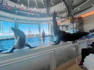 アクアワールド茨城県大洗水族館に投稿された画像（2024/12/24）