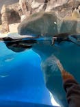 名古屋港水族館に投稿された画像（2024/12/24）