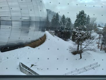 福井県立恐竜博物館に投稿された画像（2024/12/24）