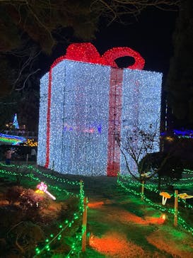 みろくの里に投稿された画像（2024/12/24）