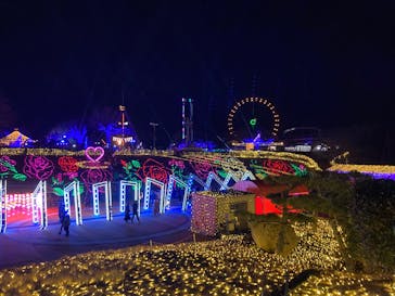 みろくの里に投稿された画像（2024/12/24）