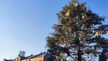 Christmas Market in 横浜赤レンガ倉庫 2025に投稿された画像（2024/12/24）