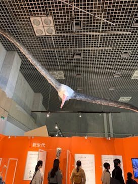 特別展「鳥 ～ゲノム解析が解き明かす新しい鳥類の系統～」国立科学博物館に投稿された画像（2024/12/24）