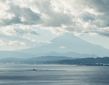 江の島シーキャンドルに投稿された画像（2024/12/24）