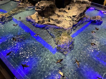 すみだ水族館に投稿された画像（2024/12/24）