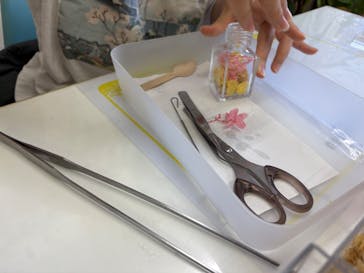 ずこうしつ〜sugamo〜に投稿された画像（2024/12/24）