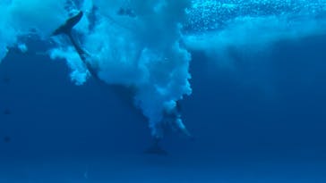 アクアワールド茨城県大洗水族館に投稿された画像（2024/12/24）