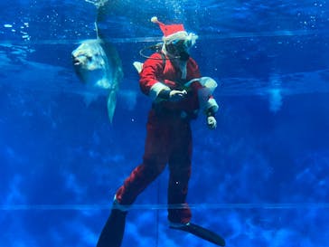 アクアワールド茨城県大洗水族館に投稿された画像（2024/12/24）