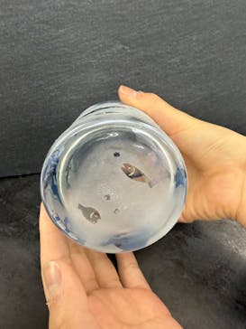 サンドブラスト本部教室 砂で削るガラス工芸教室に投稿された画像（2024/12/24）