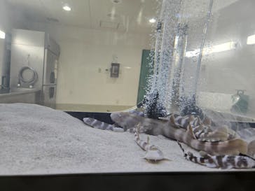 アクアワールド茨城県大洗水族館に投稿された画像（2024/12/24）