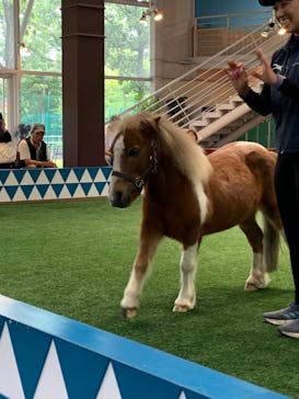 ノーザンホースパークに投稿された画像（2024/12/24）