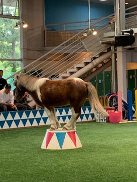 ノーザンホースパークに投稿された画像（2024/12/24）