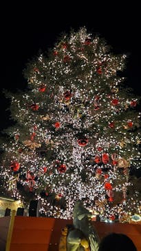 Christmas Market in 横浜赤レンガ倉庫 2025に投稿された画像（2024/12/24）