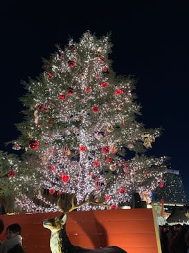 Christmas Market in 横浜赤レンガ倉庫 2025に投稿された画像（2024/12/24）