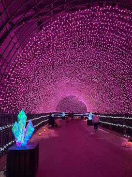 NESTA RESORT KOBE（ネスタリゾート神戸）に投稿された画像（2024/12/24）