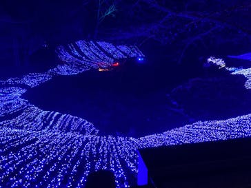 NESTA RESORT KOBE（ネスタリゾート神戸）に投稿された画像（2024/12/24）