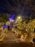 ひらかたパークに投稿された画像（2024/12/24）