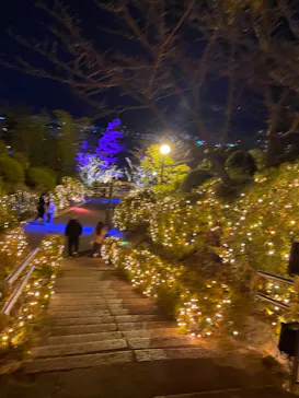 ひらかたパークに投稿された画像（2024/12/24）