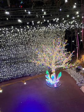 NESTA RESORT KOBE（ネスタリゾート神戸）に投稿された画像（2024/12/24）