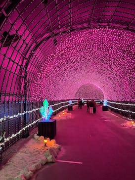 NESTA RESORT KOBE（ネスタリゾート神戸）に投稿された画像（2024/12/24）