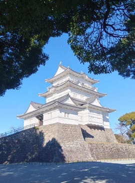 小田原城に投稿された画像（2024/12/24）