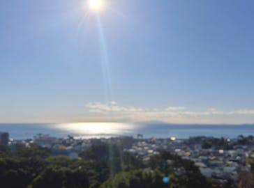 小田原城に投稿された画像（2024/12/24）