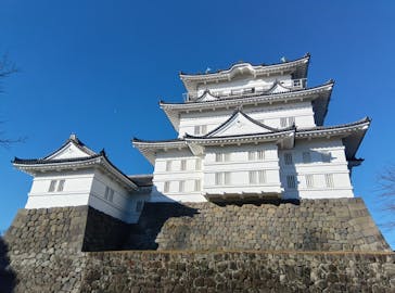 小田原城に投稿された画像（2024/12/24）