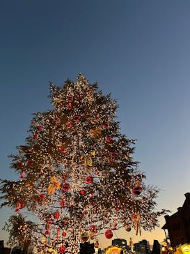 Christmas Market in 横浜赤レンガ倉庫 2025に投稿された画像（2024/12/24）
