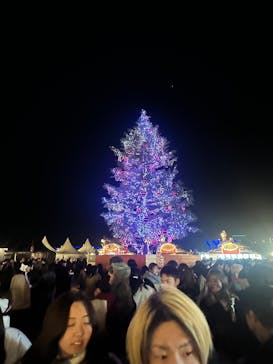 Christmas Market in 横浜赤レンガ倉庫 2025に投稿された画像（2024/12/24）